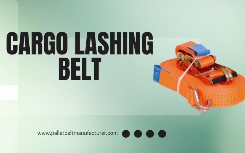 Best Cargo Lashing Belt Manufacturer in Delhi