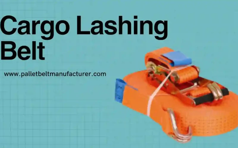 a trusted cargo lashing belt supplier in India