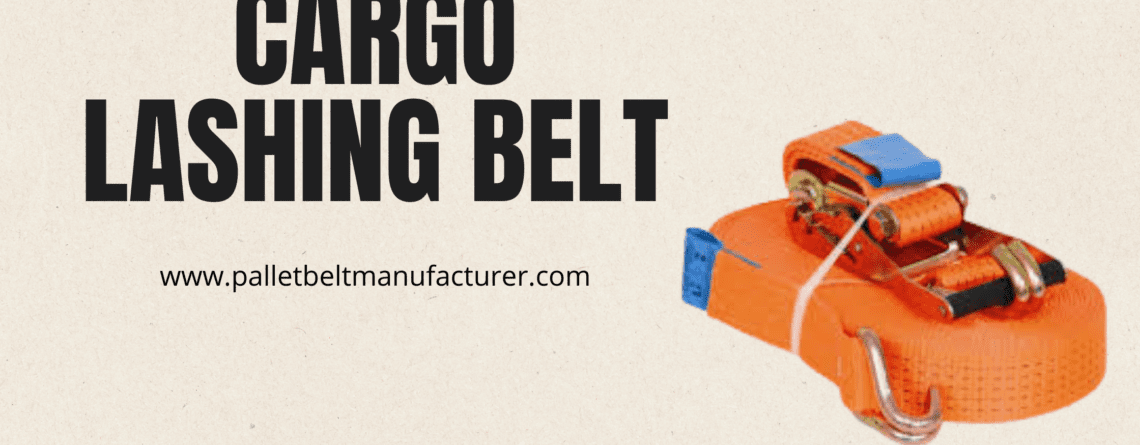 best cargo lashing belt supplier in India