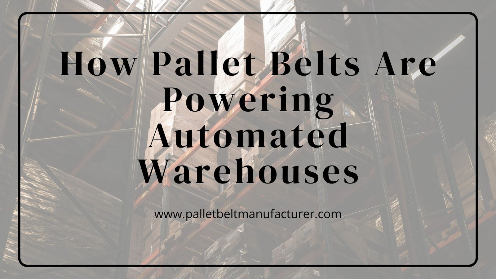 How Pallet Belts Are Powering Automated Warehouses
