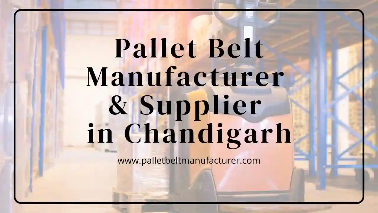 pallet belts in Delhi NCR