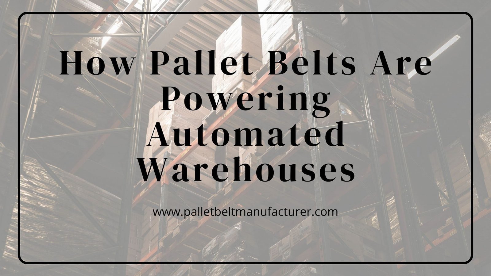 Best Velcro Belts by Pallet Belt in Delhi