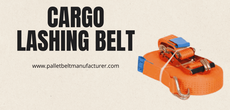 best cargo lashing belt supplier in India