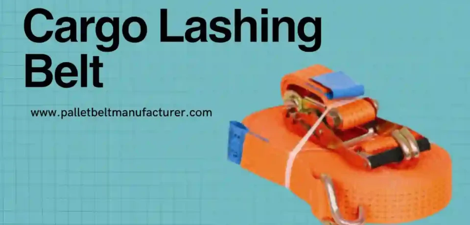 a trusted cargo lashing belt supplier in India