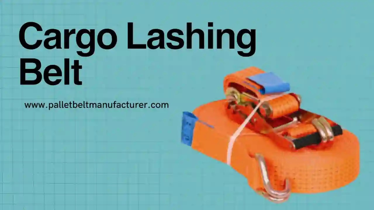 a trusted cargo lashing belt supplier in India